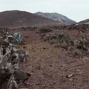 Bilder Mille autres raisons