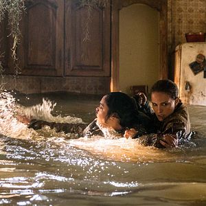 Bilder Tessa Thompson