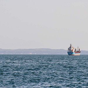 Bilder L'Amour et la révolution