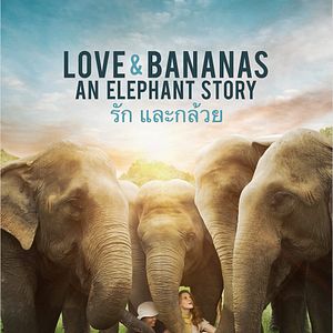 Bilder Love & Bananas