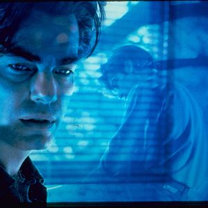 Bilder Peter Gallagher