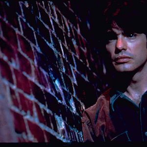 Bilder Peter Gallagher