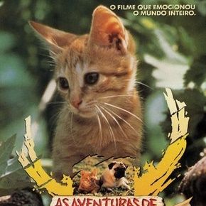 Bilder Miez und Mops - Zwei tierische Freunde