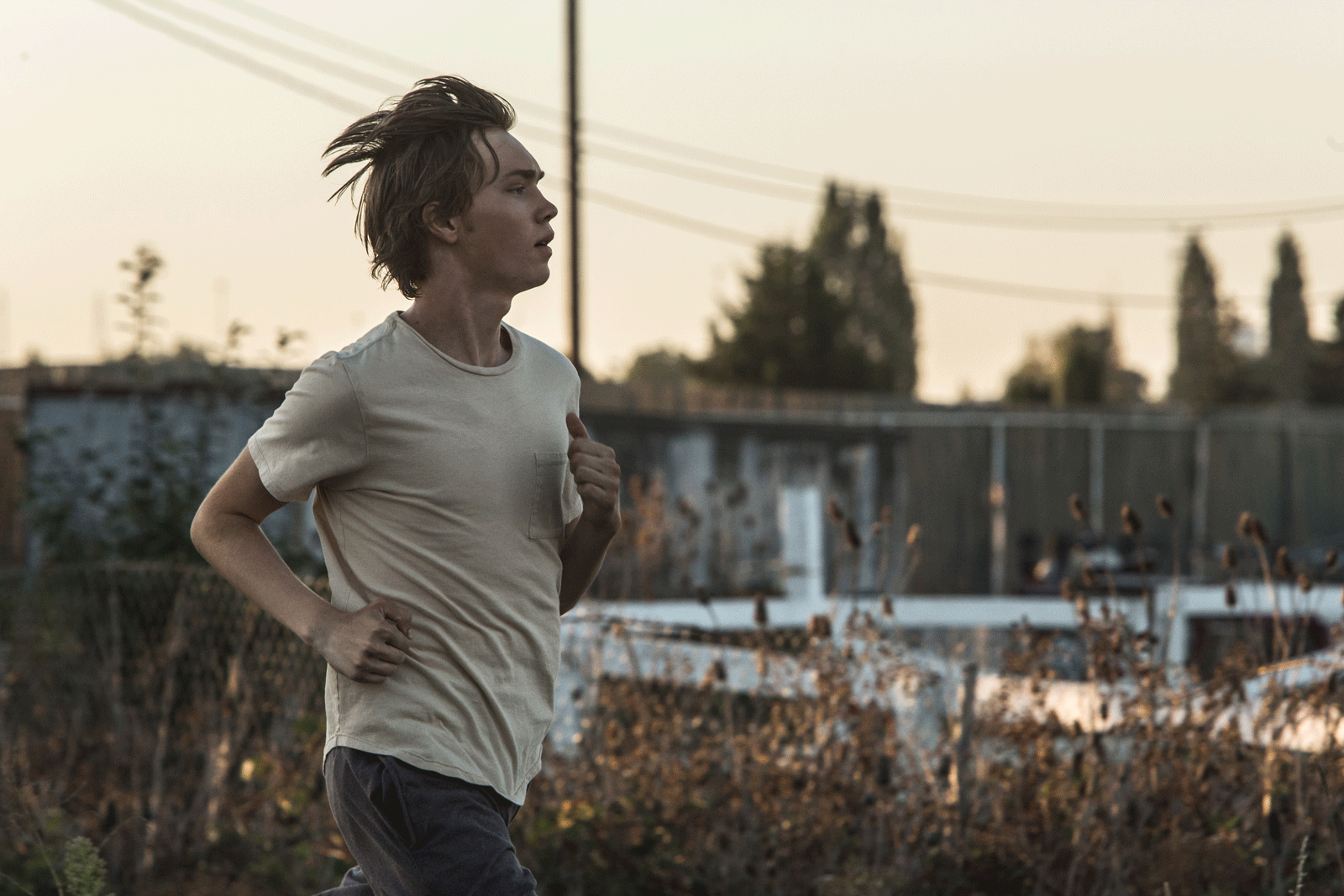 Bilder Lean On Pete