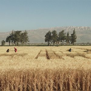 Bilder Wild Relatives