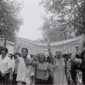 Bilder Bones of Contention