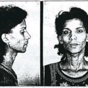 Bilder Bones of Contention