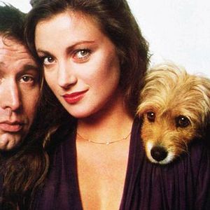 Bilder Ein Himmelhund von einem Schnüffler