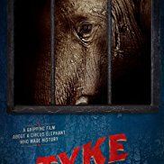 tyke the elephant documentary