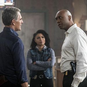 Bilder Derek Webster