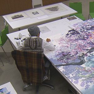 Bilder A Single Pen: The World of Artist Manabu Ikeda