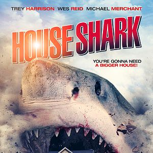 Bilder House Shark