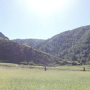 Bilder Wang Zha de Yuxue