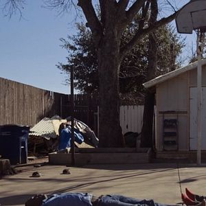 Bilder They Live Here, Now