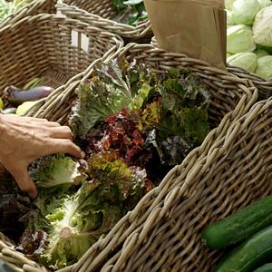 Bilder Zeit für Utopien