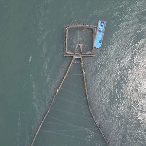 Bilder Zeit für Utopien