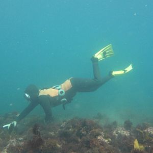 Bilder Zeit für Utopien