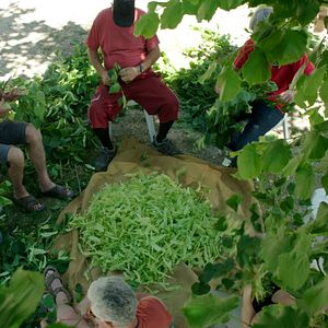 Bilder Zeit für Utopien