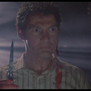 Bilder Andrew Robinson