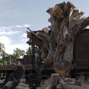 Bilder Demons in Paradise