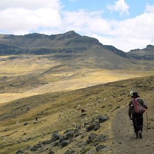 Bilder Die Augen des Weges