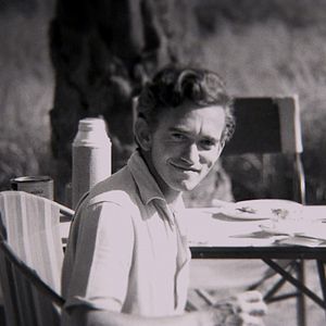 Bilder Hugo Van Lawick