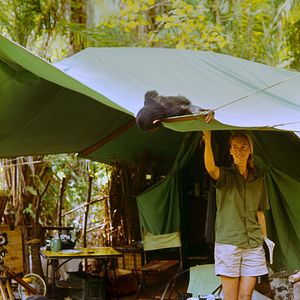 Bilder Jane Goodall