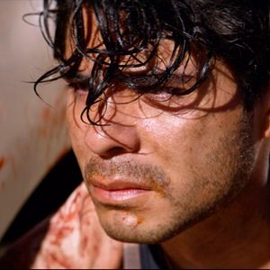 Bilder Rod Hernandez