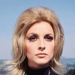 Bilder Sharon Tate