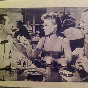 Bilder The Birds and the Bees