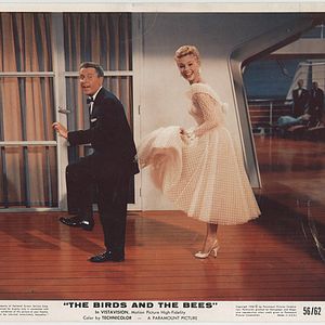 Bilder The Birds and the Bees