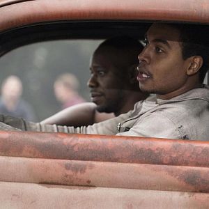 Bilder Malcolm Barrett