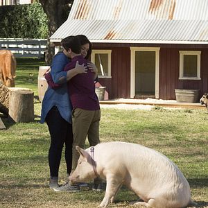 Bilder American Housewife (2016)