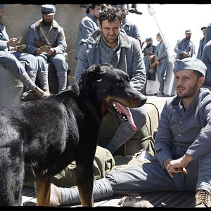 Bilder Nicolas Duvauchelle