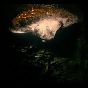 Bilder Aquilo que Sobra