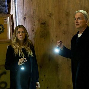 Bilder Emily Wickersham