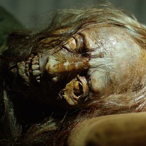 Bilder Zombies! - Überlebe die Untoten