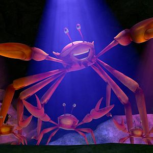 Bilder Käpt’n Sharky