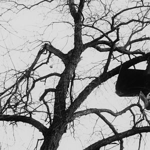 Bilder Lilith's Awakening