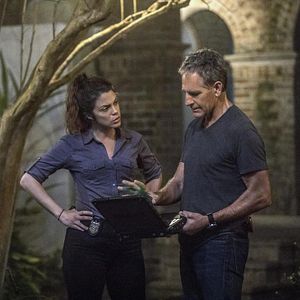 Bilder Navy CIS: New Orleans