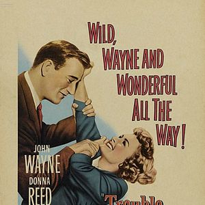 Bilder Trouble Along The Way