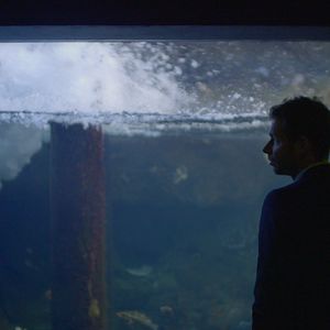 Bilder Die stille Revolution