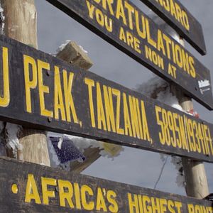 Bilder Die stille Revolution