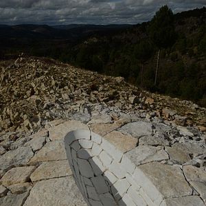 Bilder Leaning Into The Wind - Andy Goldsworthy