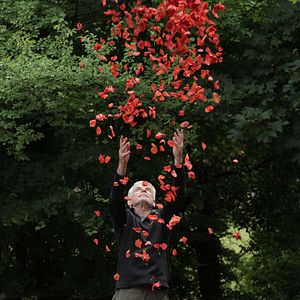 Bilder Leaning Into The Wind - Andy Goldsworthy