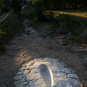 Bilder Leaning Into The Wind - Andy Goldsworthy
