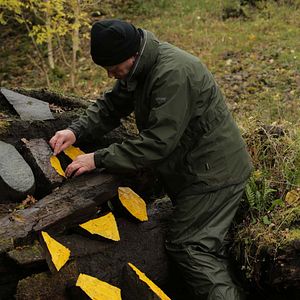 Bilder Leaning Into The Wind - Andy Goldsworthy