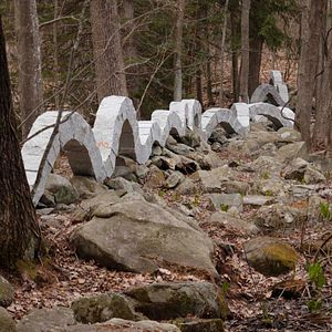 Bilder Leaning Into The Wind - Andy Goldsworthy