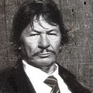 Bilder Robert Bronzi