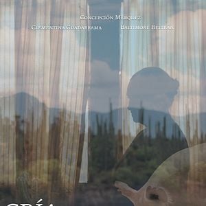 Bilder Cría puercos